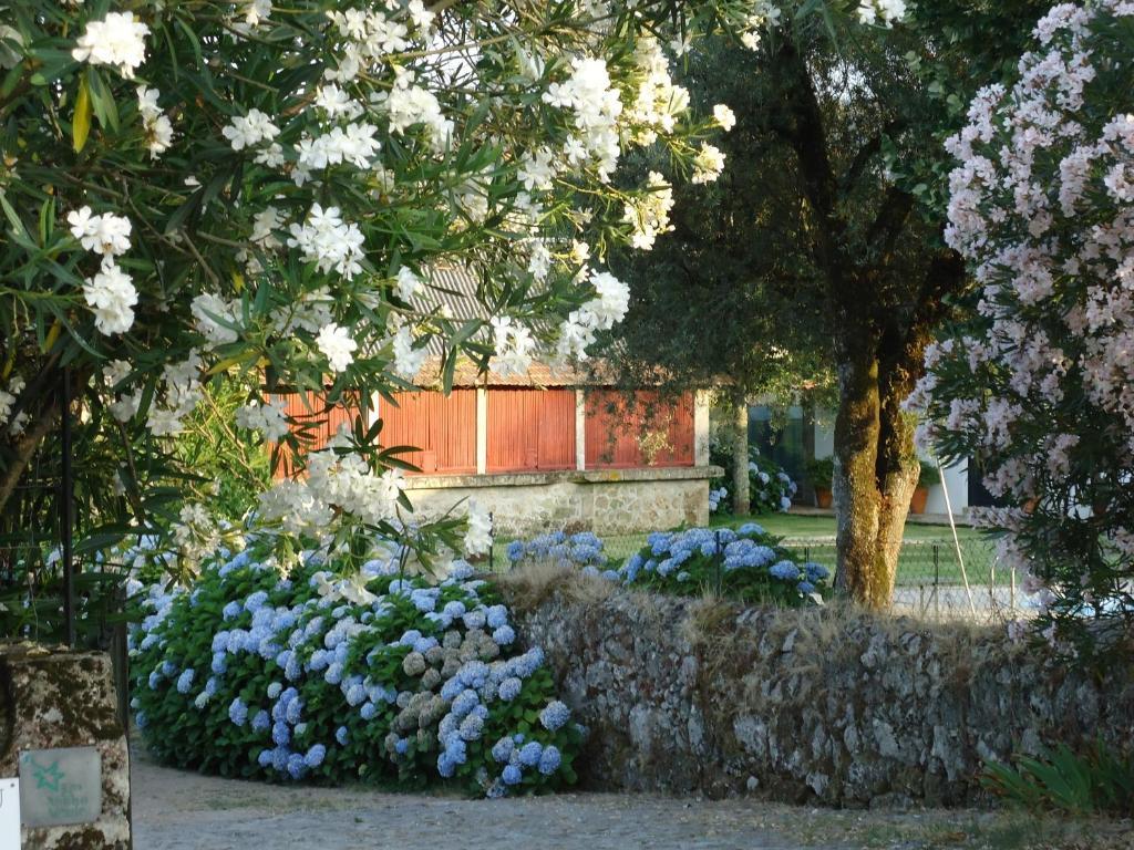 Вілла Quinta De Luou Santa Cruz do Lima Номер фото